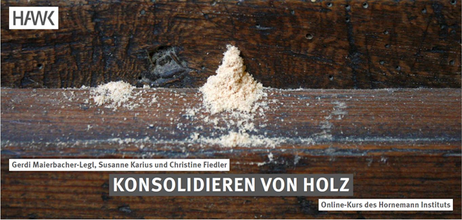Screenshot E-Learning Kurs Holzkonsolidierung